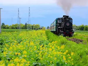 Centennial Steam Train