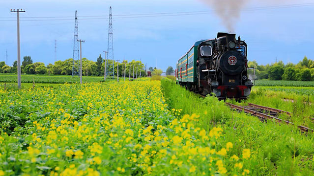Centennial Steam Train