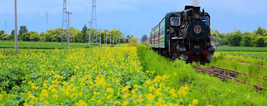 Centennial Steam Train