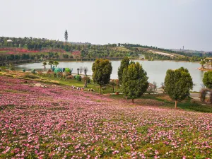 태평호 삼림공원