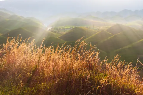 Nanshan Ranch