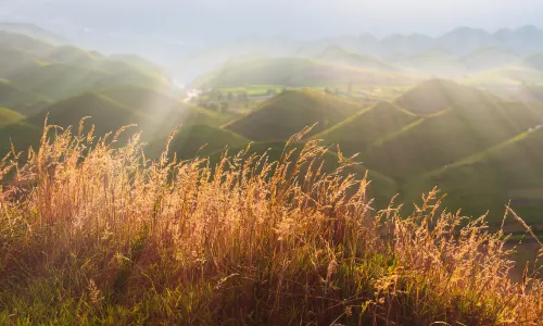 Nanshan Ranch