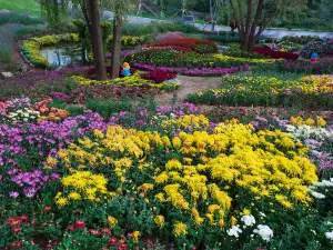 英歌石植物園