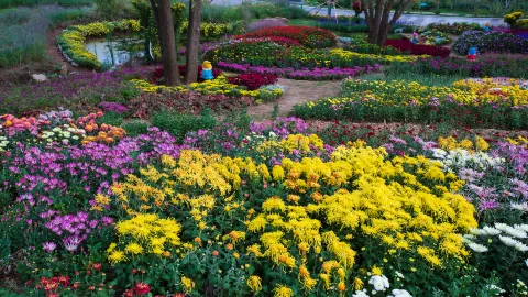 Yinggeshi Botanical Garden attraction in Dalian