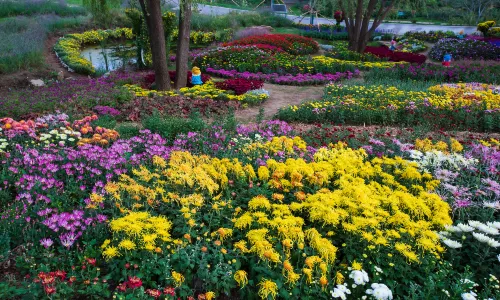 Yinggeshi Botanical Garden