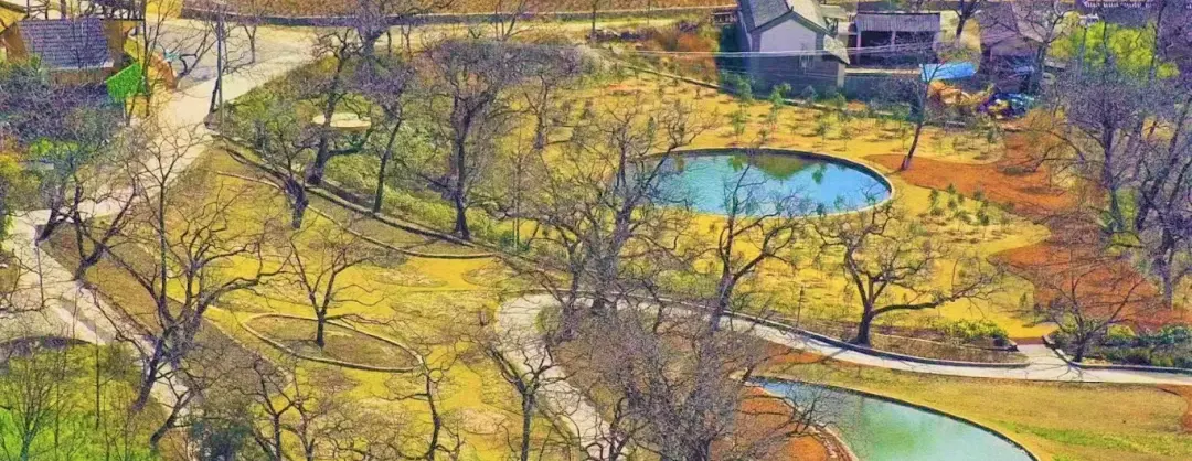 Fall Viewing Attractions