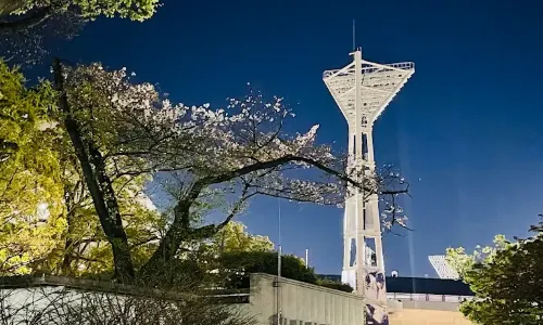 Yokohama Park
