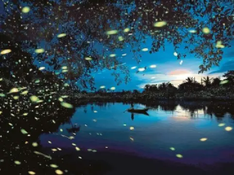 Attrazioni del Giro Notturno a Papar: le opzioni più popolari