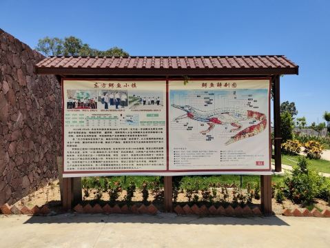 zhong guo dong fang e yu xiao zhen