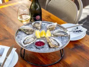 THE KNYSNA OYSTER COMPANY