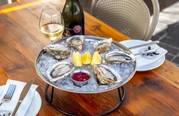 THE KNYSNA OYSTER COMPANY