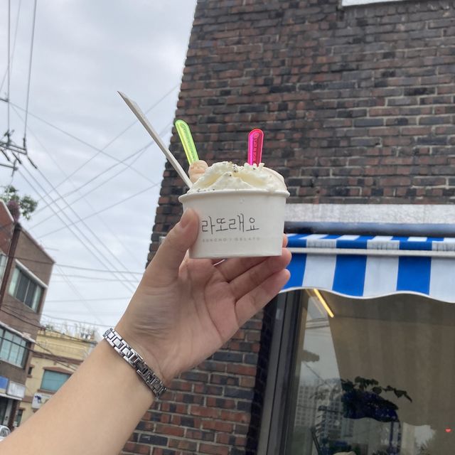 속초 찐 맛집 추천 ! 