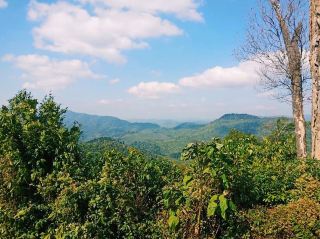 Vieng Phouka simple living