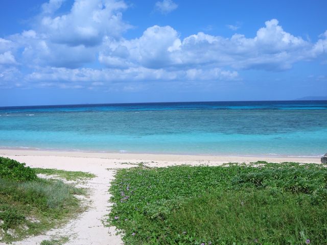 【日本最南端の島】波照間島のニシ浜
