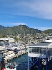 Picton Interislander Vehicle Check-In