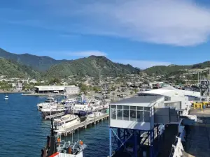 Picton Interislander Vehicle Check-In