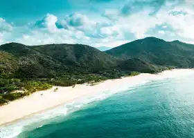呆呆島