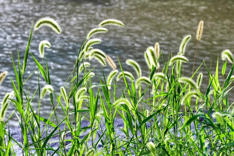 West Dongting Lake Wetland Ecotourism Scenic Area