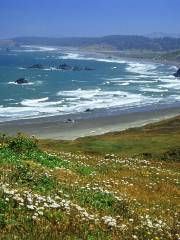 Sandfly Bay