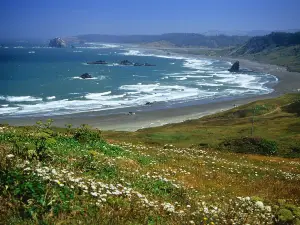 Sandfly Bay Track