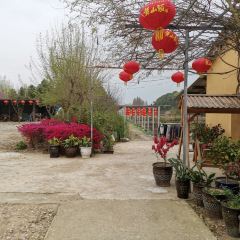 近水闲居 User Photo