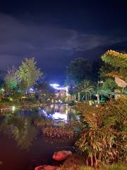 高黎貢山植物園