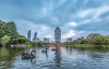 廈門大學-芙蓉湖