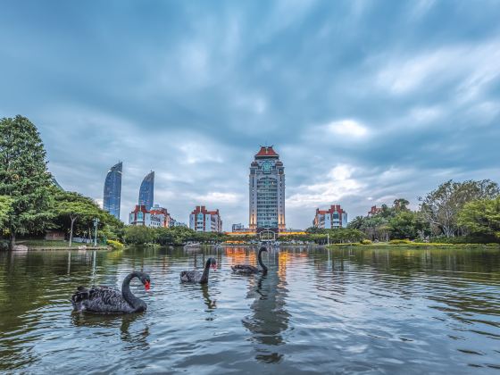 Xiamen University Furong Lake