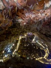 유인원 동굴