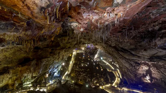 유인원 동굴