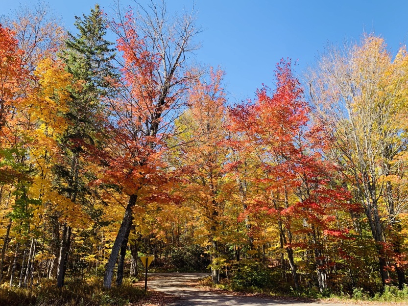 アルゴンキン州立公園のレビュー アルゴンキン州立公園のチケット アルゴンキン州立公園の割引 アルゴンキン州立公園の交通機関 所在地 営業時間 アルゴンキン州立公園周辺の観光スポット ホテル グルメ Trip Com アルゴンキン州立公園のレビュー アルゴンキン州立公園のチケット アルゴンキン州立公園の割引 アルゴンキン州立公園の交通機関 所在地 営業時間 アルゴンキン州立公園周辺の観光スポット ホテル グルメ Trip Com