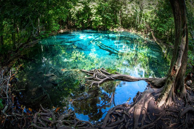 Emerald Pool
