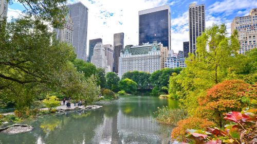 Central Park Zoo