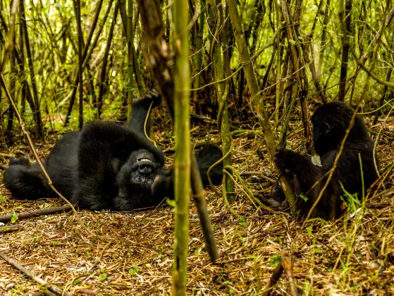 Vé máy bay Kigali Thường Châu