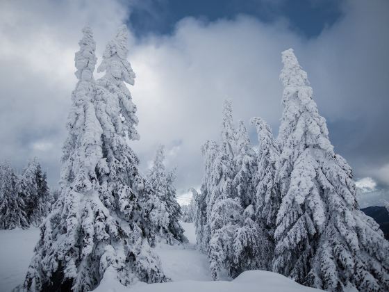 歐娜斯山滑雪中心