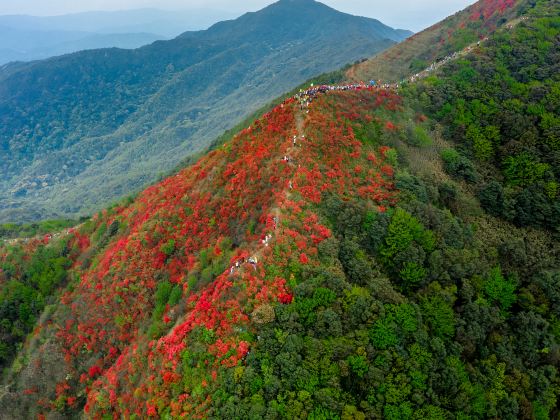 通天蠟燭山