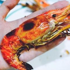 T&K Seafood Restaurant 여행 사진