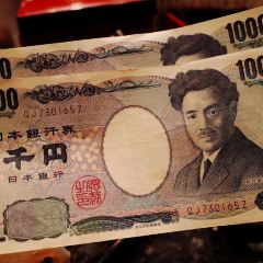 Harukoma User Photo