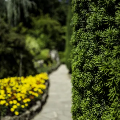 Бутик Отели в г. Ибадан