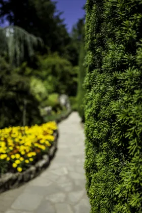 Hotels near The Blooming Plant Lady