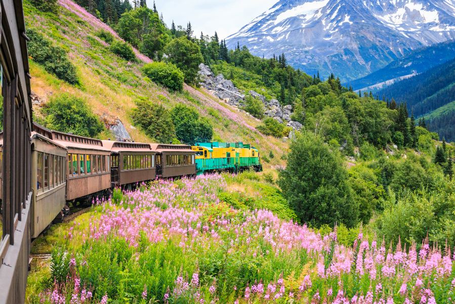 Calgary to Skagway Flights