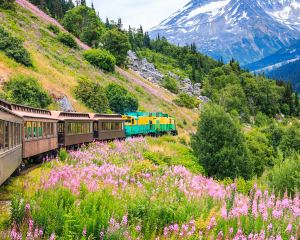 香港-史凱威 機票酒店 自由行