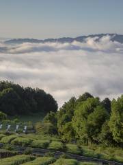 七星山森林公園