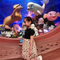 珠海长隆企鹅酒店·烟花台中餐厅 ảnh của người dùng