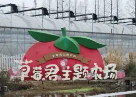 草莓君主題農場