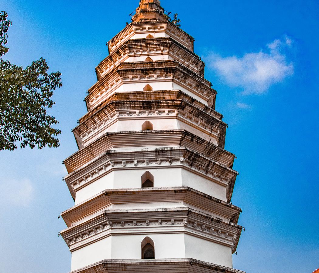 Jiucheng Paradise