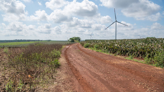Jiulongshan Hongshulin National Wetland Park