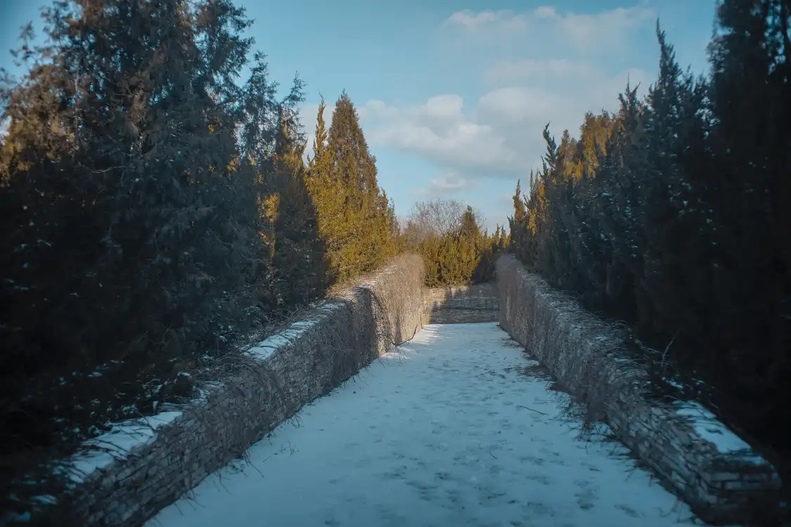 친황 식물원 주변 호텔