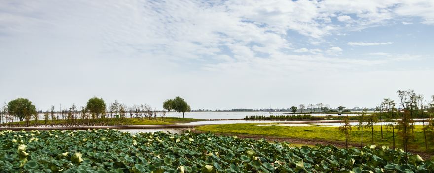 Jinhu National Wetland Park, Zhijiang, Hubei