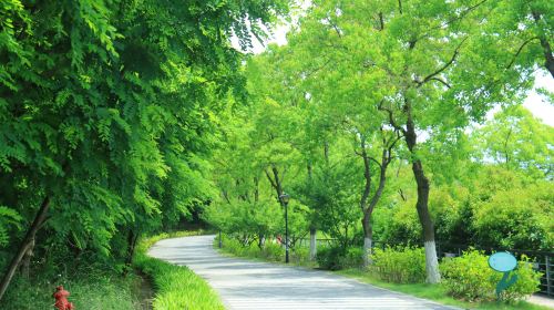 Fragrant Hills Park